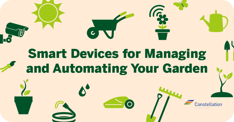 智能设备管理和自动化你的花园